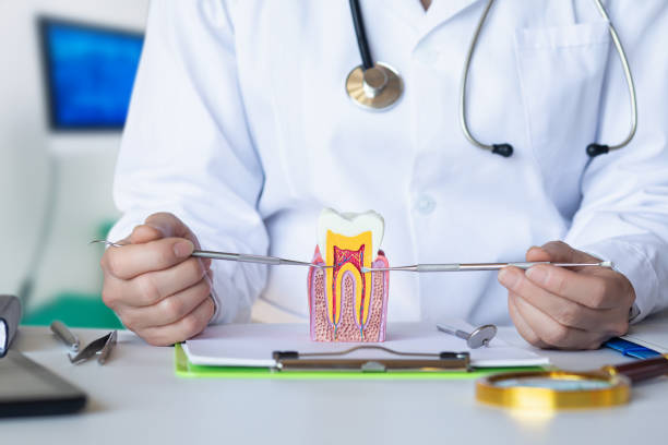 Best Pediatric Emergency Dentist in Falls Church, VA